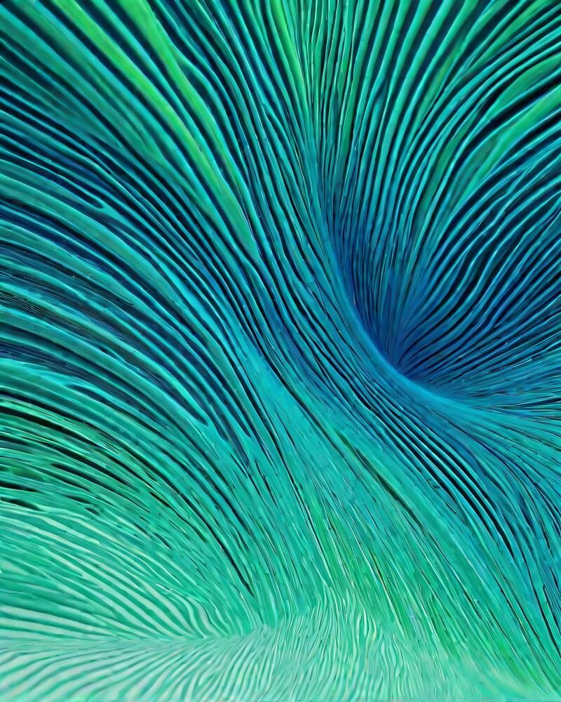 800x1080